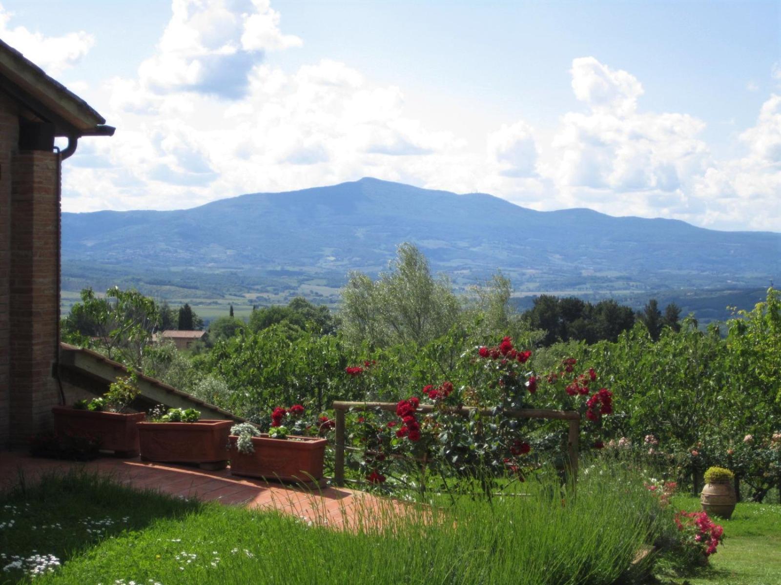 Agriturismo Cornieto Monteleone dʼOrvieto Exterior foto