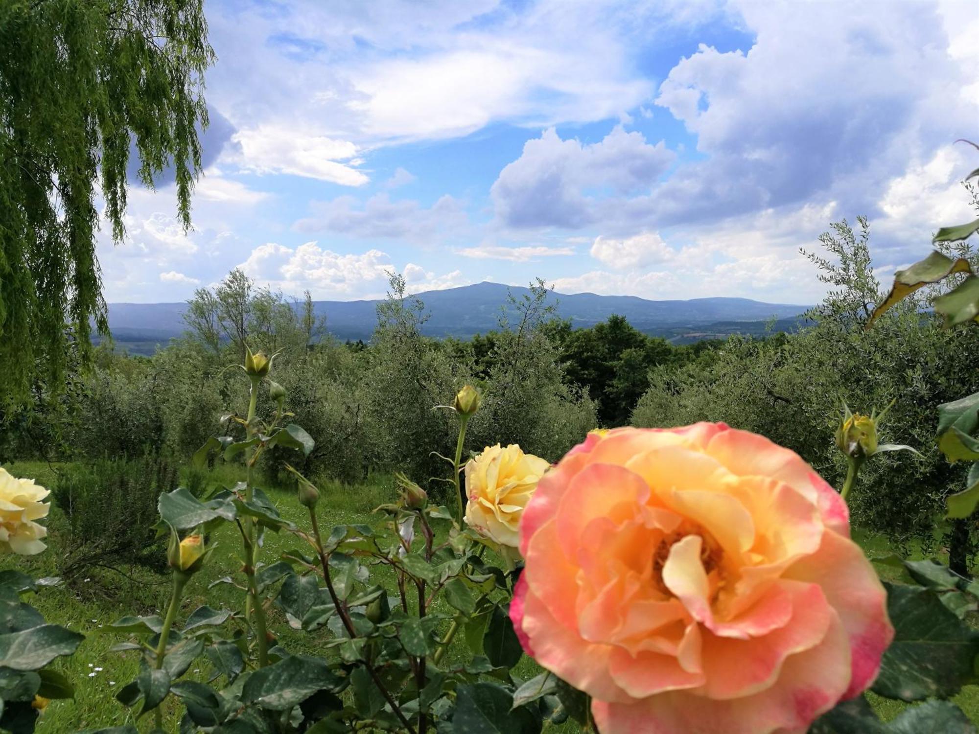 Agriturismo Cornieto Monteleone dʼOrvieto Exterior foto