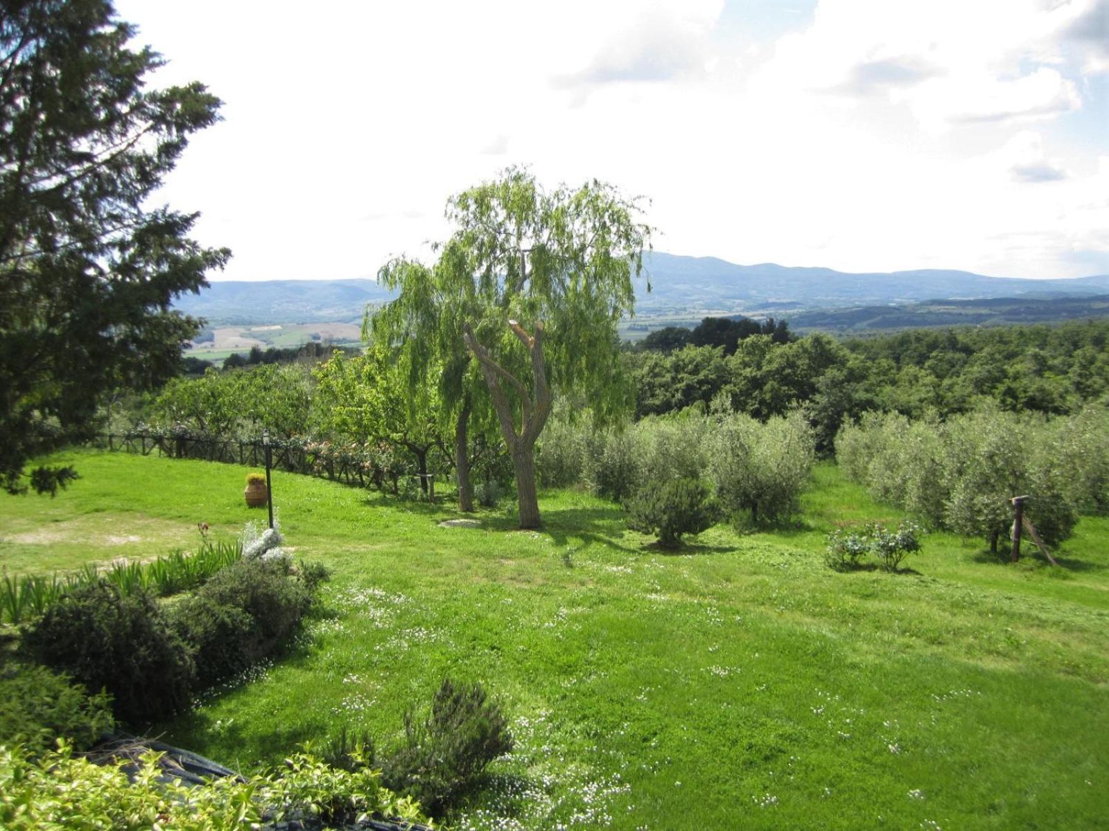 Agriturismo Cornieto Monteleone dʼOrvieto Exterior foto