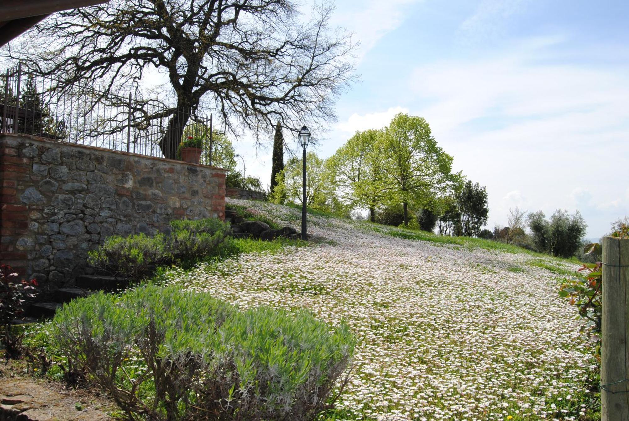 Agriturismo Cornieto Monteleone dʼOrvieto Exterior foto